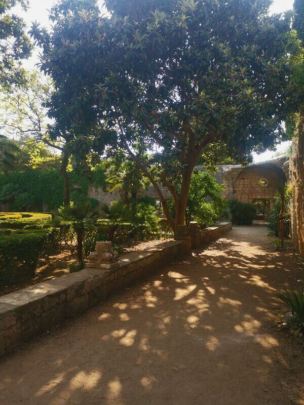 The Botanical garden Lokrum Island